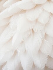 Fototapeta premium Close up of soft, fluffy feathers showcasing intricate textures, beautiful, soft