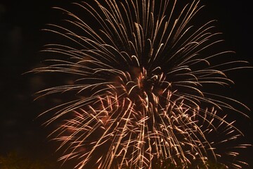 celebration fireworks and lighting at Suan Luang Rama 9 public park in Thailand on night 