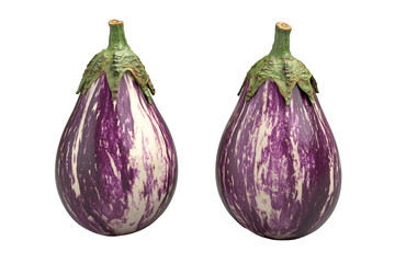 two purple and white eggplant