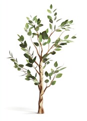 Isolated illustration of a small eucalyptus tree with green leaves and a textured brown trunk against a white background.