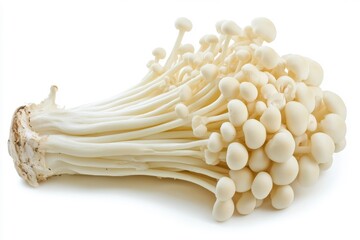 Fresh enoki mushrooms isolated on a white background.