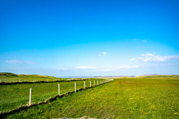 Fototapeta premium Coastal rural field in Ireland with fence on a sunny day