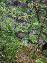 Parque Natural de Ordesa - Pirineos 2024 - 52