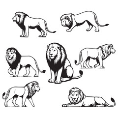 Obraz premium ilustration Lion Set of vector illustrations isolated on white background.