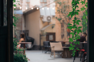 vintage style patio outdoor space for morning coffee decorated by hanging plants and bokeh effect garland lamps photography in neutral pastel beige color