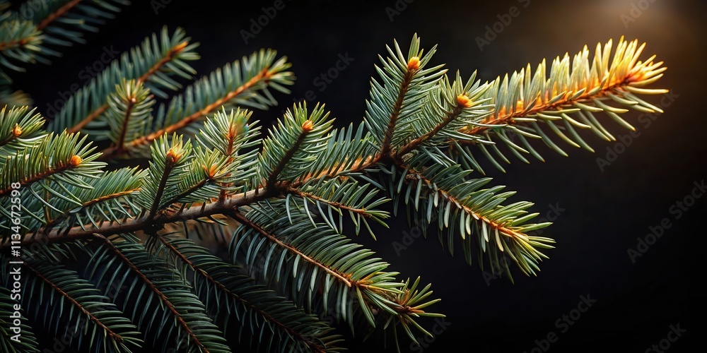 Poster Close-up of a pine tree branch with soft sunlight illuminating the needles, showcasing the intricate detail of its natural beauty.