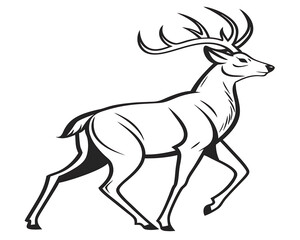 Obraz premium silhouette of deer