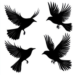 Obraz premium Silhouettes of flying birds in various poses, showcasing elegance and freedom