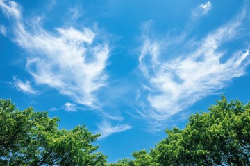 Vibrant Blue Sky Adorned With Wispy Clouds and Lush Green Trees