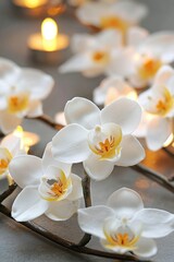 Naklejka premium White Orchids Arranged With Soft Candlelight Glow