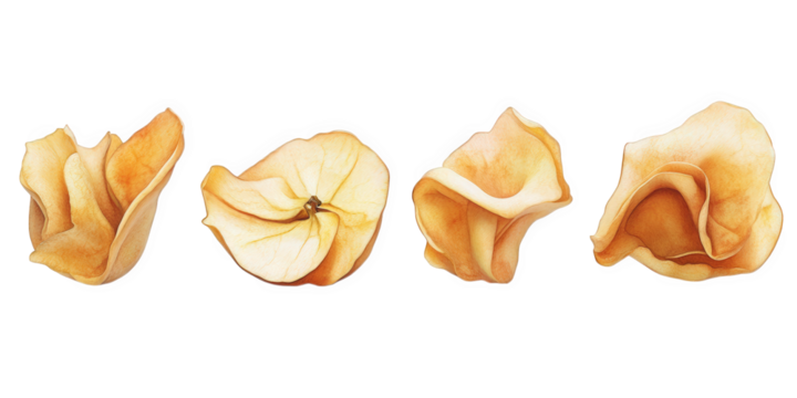 Dehydrated Apple Slices Arranged in a Row, on transparent background , png