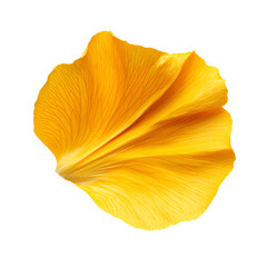 Naklejka premium Single Yellow Petal Isolated on Black Background