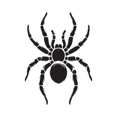 Black simple spider silhouette icon on transparent background, vector illustration