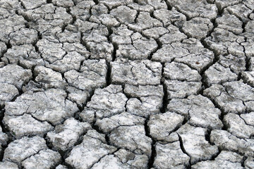 Deep splitting and cracking of the soil as a result of the decrease in near-water levels,