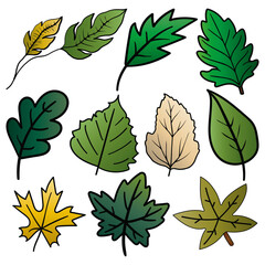 Leaf or Foliage Vector Element Design Set