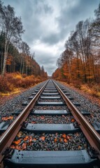 Fototapeta premium Autumnal Railway Tracks Leading Through a Forest