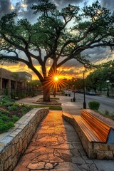 Fototapeta premium Sunset Glows Through Branches Illuminating City Walkway