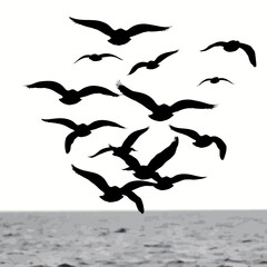 Silhouette of a flock of seagulls flying over the water.