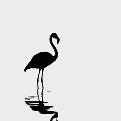 Obraz premium Black silhouette of a flamingo standing in the water with its reflection