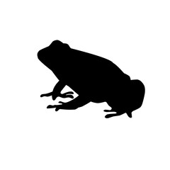 Frog silhouettes
