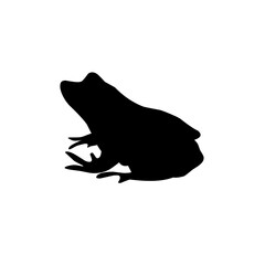 Frog silhouettes