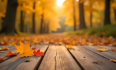 A wooden deck or platform in the foreground, with vibrant orange and yellow autumn leaves scattered around. In the background, a blurred forest scene with trees and sunlight filtering through.