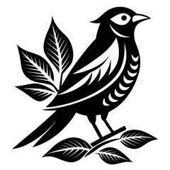 Fototapeta premium Rufous-Bellied Thrush silhouette