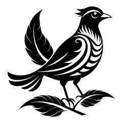 Naklejka premium Rufous-Bellied Thrush silhouette