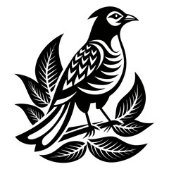 Obraz premium Rufous-Bellied Thrush silhouette