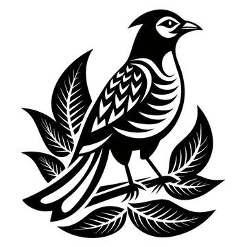 Rufous-Bellied Thrush silhouette