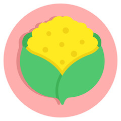 Premium design icon of cauliflower