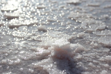 pink lake salt crystals glitter in the sun