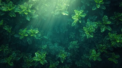 Obraz premium Tropical Rainforest Observation Data and Environmental Impact on Climate Change Ecosystem Dynamics