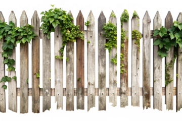 fence and green grass