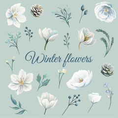Winter flowers and leaves Elegant floral elements for wedding