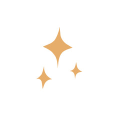 sparkle star icon vector