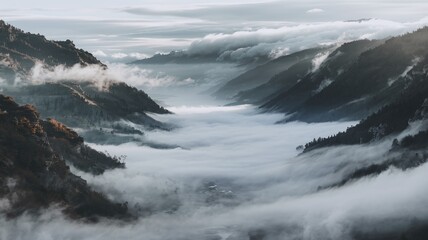 valley filled with thick fog and mountains.