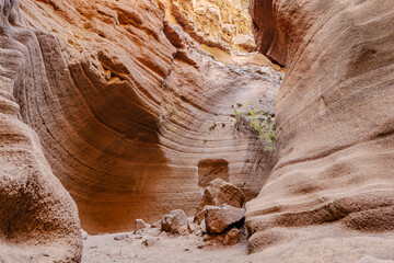 Amazing orange canyon called Barranco de las vacas located on Grand Canaria, Canary Islands, Spain