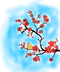 cherry blossom in spring
