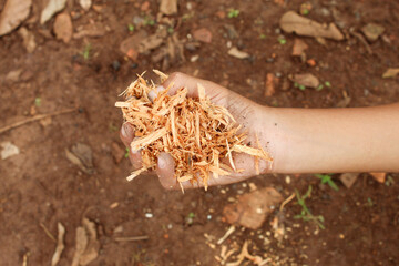 close up of sawdust on hand