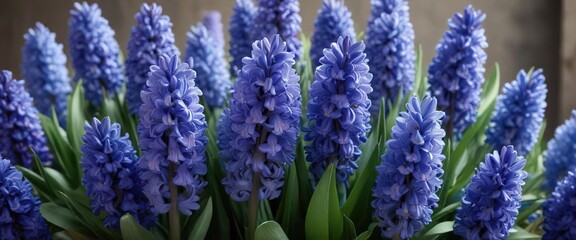 Colorful bouquet of blue hyacinth flowers with greenery and flowers, colorful flowers, flower bouquet