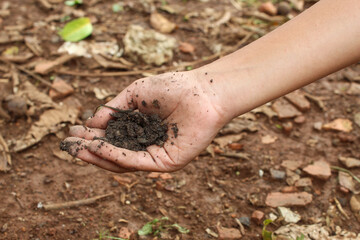 fertile agricultural land in hand. environment, ecology, agriculture