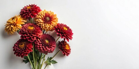 Obraz premium A cluster of vibrant autumnal flowers, with rich red and orange hues, arranged in a casual bouquet on a pristine white backdrop.