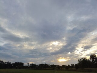 sunset over the field