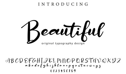 Beautiful Font Stylish brush painted an uppercase vector letters, alphabet, typeface