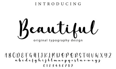 Beautiful Font Stylish brush painted an uppercase vector letters, alphabet, typeface