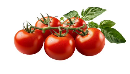 Frische Tomaten ausgeschnitten: Saftige rote Tomaten f&uuml;r gesunde Ern&auml;hrung und vielf&auml;ltige Rezepte