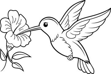 Hummingbird Flower Nectar Sketch Bird Outline Drawing Illustration