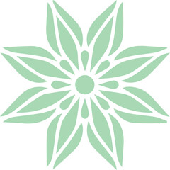 Beautiful flower art and mandala vector design