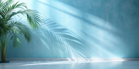A Minimalist Interior Design with a Lush Palm Plant Casting Shadows on a Pale Blue Wall